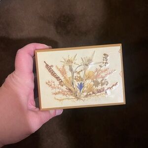 Floral Decorative  Edelweiss Music box with Gold Trim. Work wonderfully